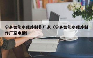 日土宁乡智能小程序制作厂家（宁乡智能小程序制作厂家电话）