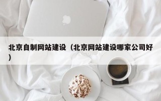 日土北京自制网站建设（北京网站建设哪家公司好）